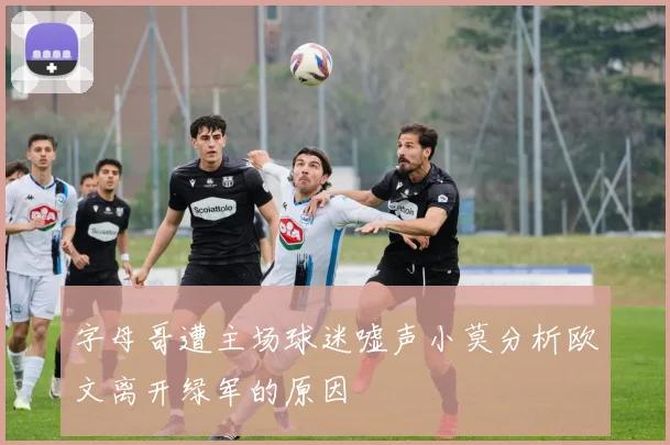 字母哥遭主场球迷嘘声小莫分析欧文离开绿军的原因